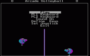 Arcade Volleyball