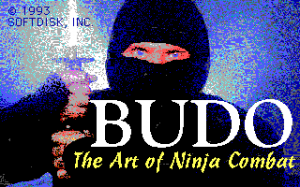 Bud&#x14D;: The Art of Ninja Combat!