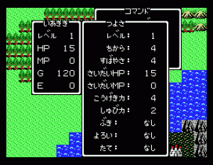 Dragon Warrior / Dragon Quest