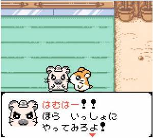 Hamtaro: Ham-Hams Unite!