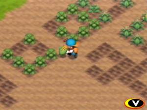 Harvest Moon 64