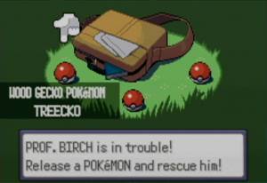 Pokémon Emerald Version