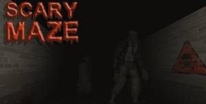 Scary Maze