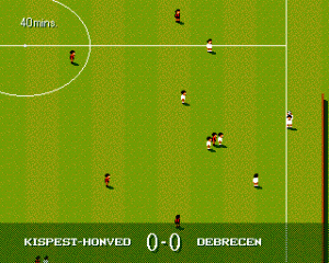 Sensible World of Soccer