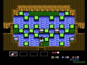 StarTropics