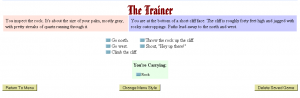 The Trainer