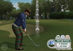 Tiger Woods PGA Tour 09