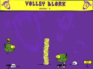 Volley Blork