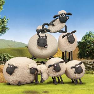 Shaun The Sheep Flock Together